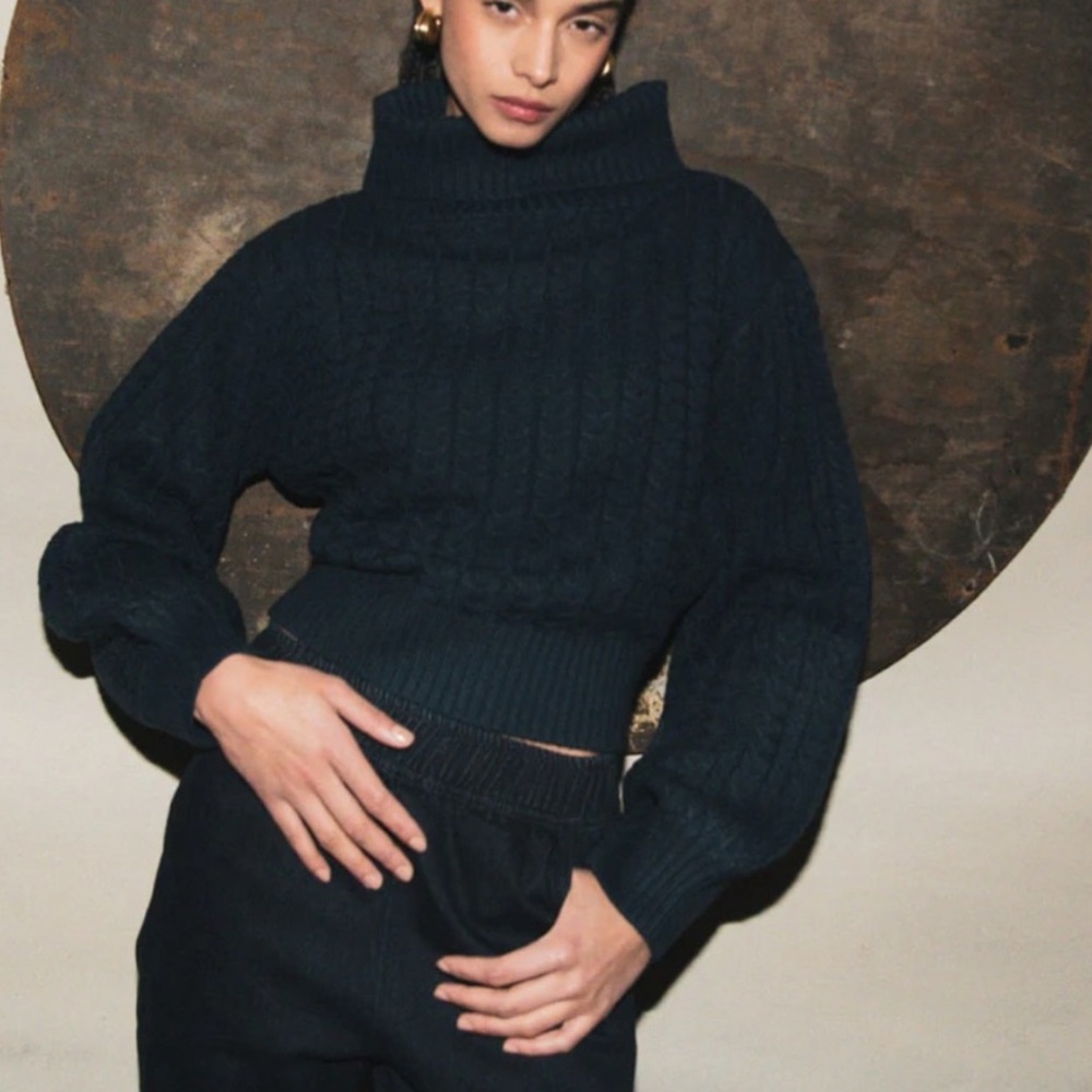 WeWoreWhat French Navy Turtleneck Sweater